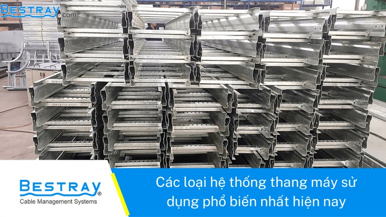 Giới thiệu về công ty Bestray