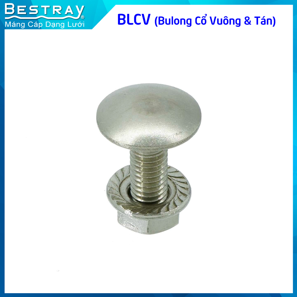 BLCV (Bulong cổ vuông)